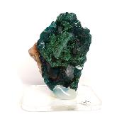 Dioptase Pierre Brute 15821