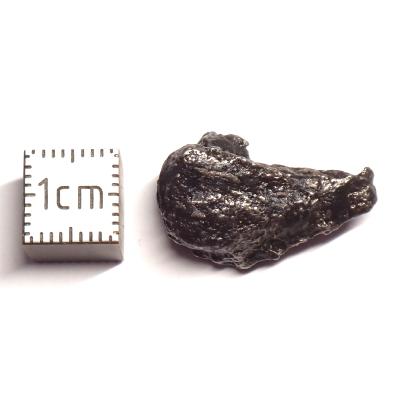 Météorite Sidérite Sikhote-Alin 15984