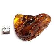 Ambre de la Baltique morceau poli 2035