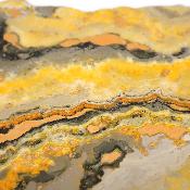 Jaspe Abeille Plaque 2285