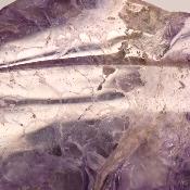 Charoite Tranche 2349