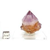 Cristal Cactus Brute 2725