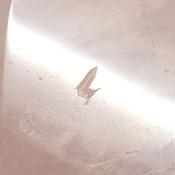 Quartz Rose Sceau de Salomon 3003
