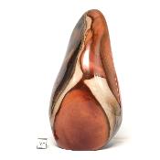 Jaspe Polychrome Forme Libre 0070