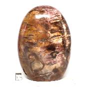 Bois Fossile Forme Libre 0075