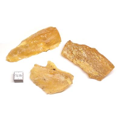 Ambre de la Baltique Pierre Brute