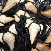 Dent de requin Pendentif