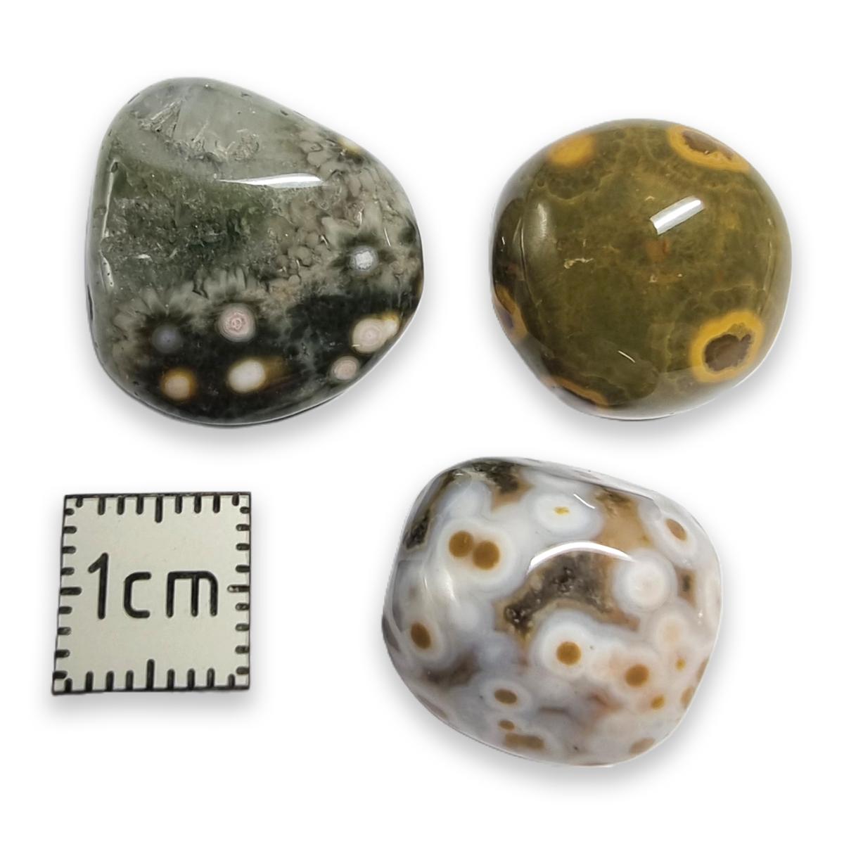 Pierres Roulées Jaspe Orbiculaire - Lot De 2 - 2 à 3 Cm - Brésil - Naturosphère - Minéraux Naturels