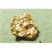 Pépite d'Or Pierre Brute