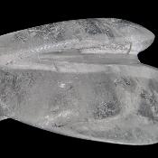 Cristal de Roche Ange 04287