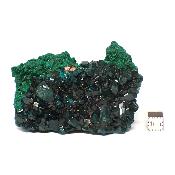 Dioptase Pierre Brute 04600