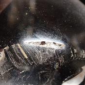 Cristal de Roche Boule 05442