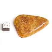 Ambre de la Baltique morceau poli n° 05956