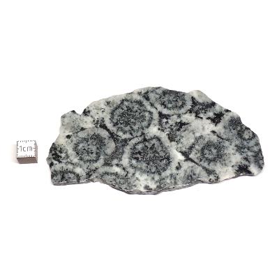 Diorite Orbiculaire Plaque 0116