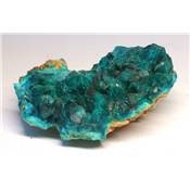 Dioptase Pierre Brute 11738