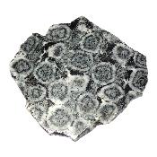 Diorite Orbiculaire Plaque 0121