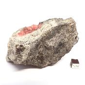 Rhodocrosite pierre brute 14896
