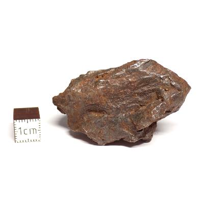 Météorite Sidérite Sikhote-Alin 15182