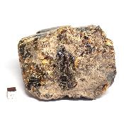 Ambre de Sumatra pierre brute 15223