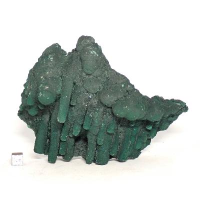Malachite stalactite Pierre Brute 15271