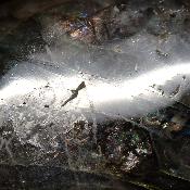 Labradorite Forme Libre 15376