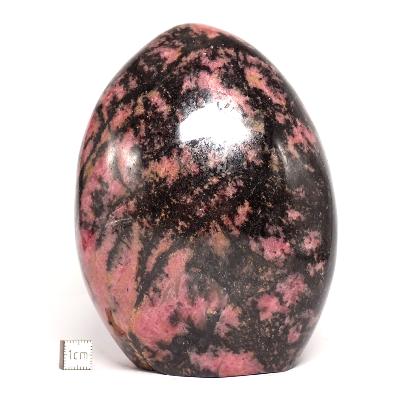 Rhodonite Forme Libre 15675