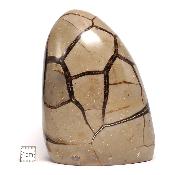 Septaria Forme Libre 15697