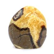 Septaria Forme Libre 20000