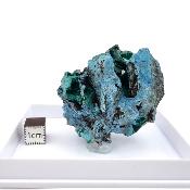 Shattuckite et Dioptase pierre brute 14940