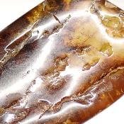 Ambre de la Baltique morceau poli 2035