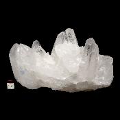 Cristal de Roche Amas 2101