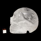 Cristal de Roche Crâne 2150