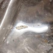 Cristal de Roche Crâne 2160