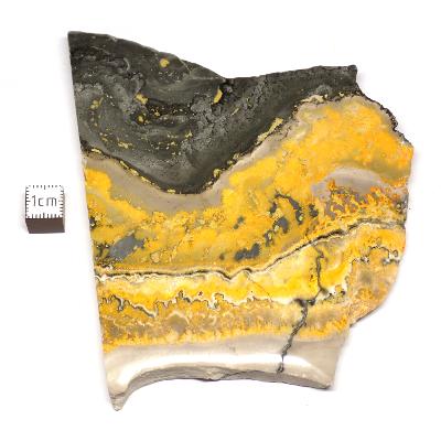 Jaspe Abeille Plaque 2279