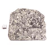 Pinolite Plaque 2339