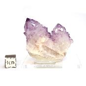 Cristal Cactus Brute 2729