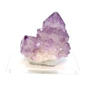 Cristal Cactus Brute 2731