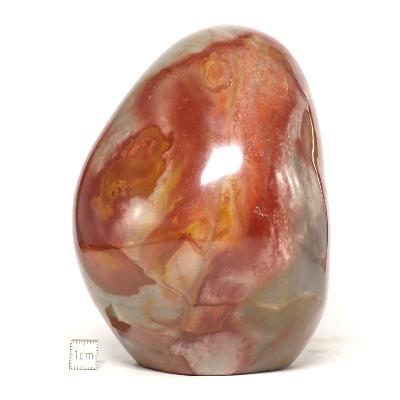 Jaspe Polychrome Forme Libre 0068