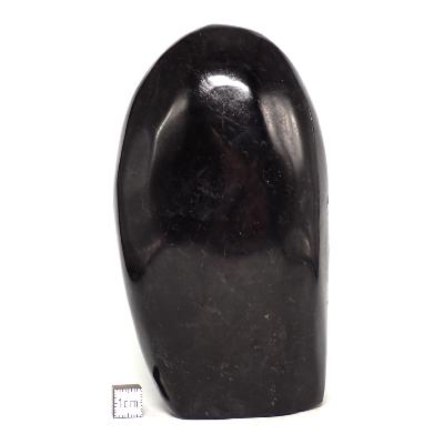 Tourmaline Noire Forme Libre 0079
