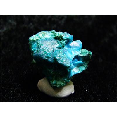 Chrysocolle Pierre Brute