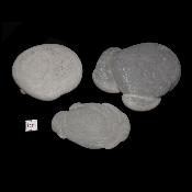 Pierres des Fées Quebec Pierre Brute