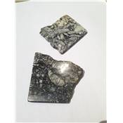 Pinolite Plaque Fine - Tranche Polie