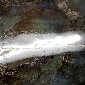 Labradorite Forme Libre 15383