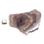 Auralite 23 - Plaque 05464