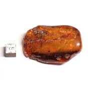 Ambre de la Baltique morceau poli n° 05949