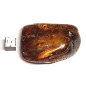 Ambre de la Baltique morceau poli n° 05953