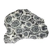 Diorite Orbiculaire Plaque 0119