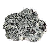 Diorite Orbiculaire Plaque 0124