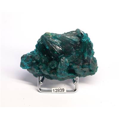 Dioptase Pierre Brute 12839