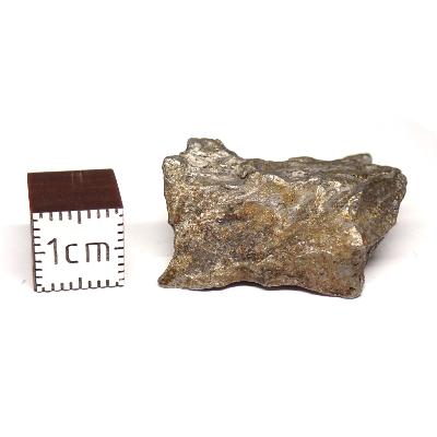 Météorite Sidérite Sikhote-Alin 15160